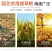 农用工具农具长柄耙子搂地耙园林园艺多功能耙草搂草扒草塑料