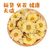杭白菊白菊花茶秋菊批发零售菊花枸杞茶杭白菊干货
