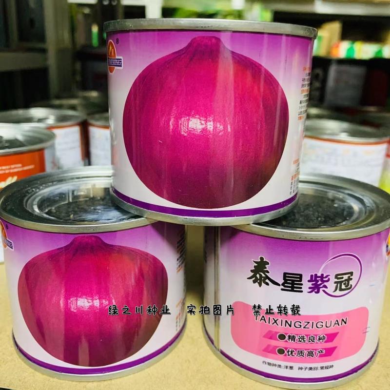 泰星紫冠洋葱种子精选良种优质高产辣味适中葱香浓郁