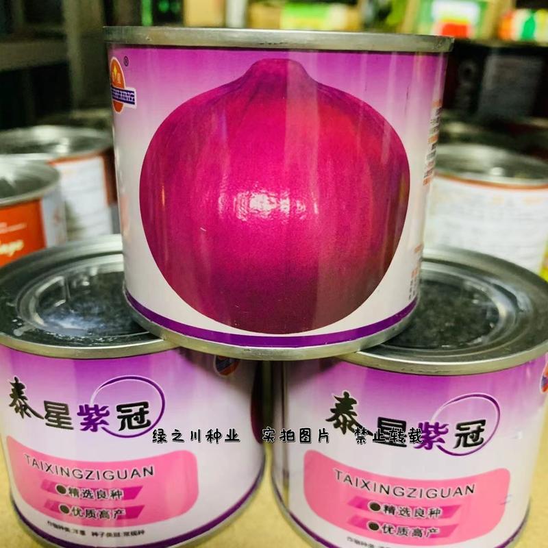 泰星紫冠洋葱种子精选良种优质高产辣味适中葱香浓郁
