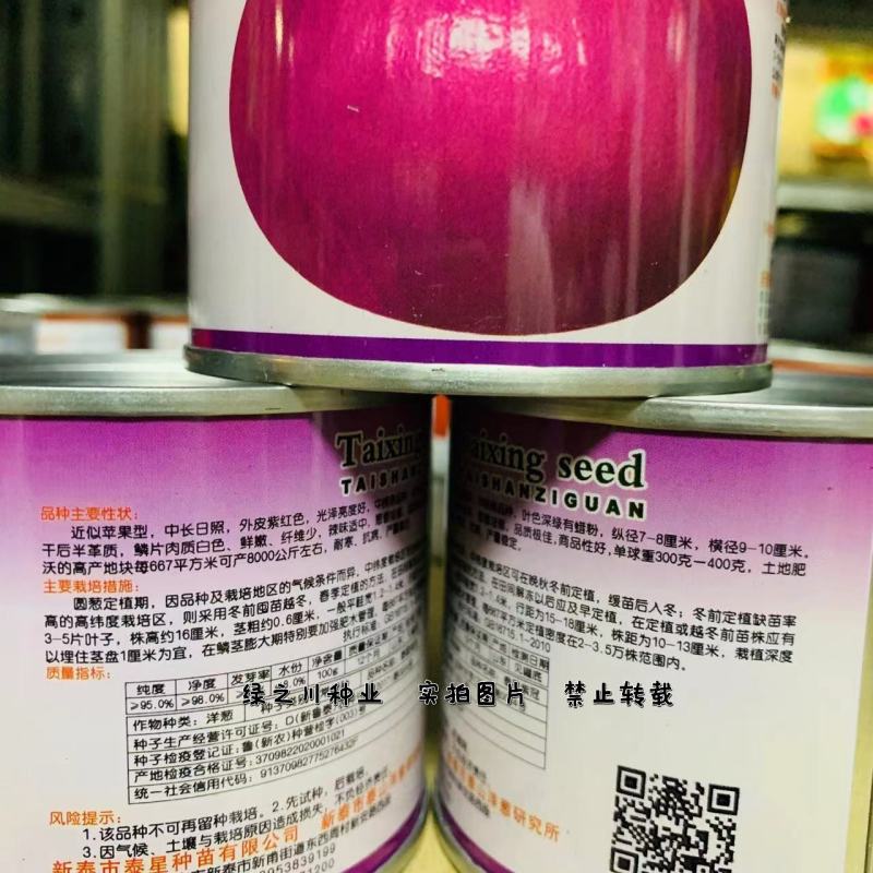 泰星紫冠洋葱种子精选良种优质高产辣味适中葱香浓郁