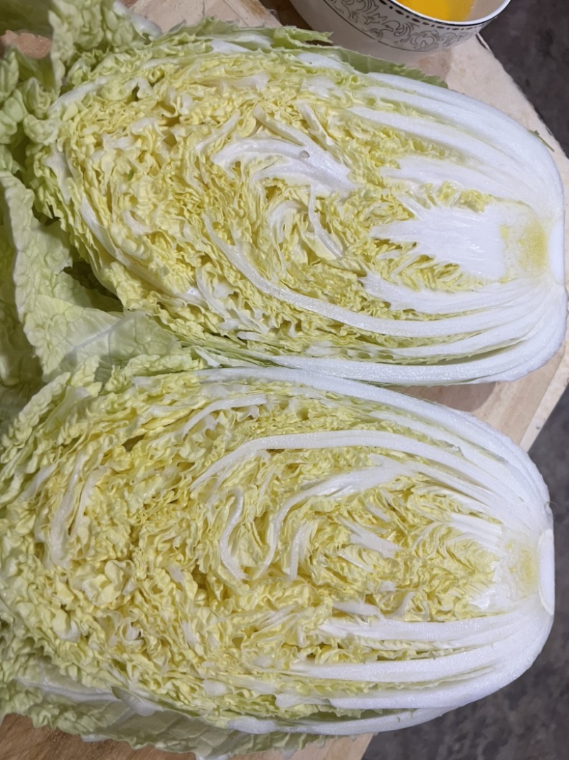 山西吕梁白菜精品黄心白菜大量上市，产地直供品质保证全国发