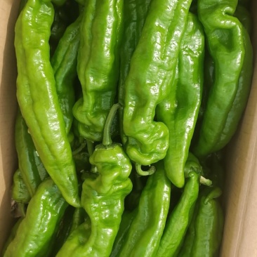 鲜辣椒