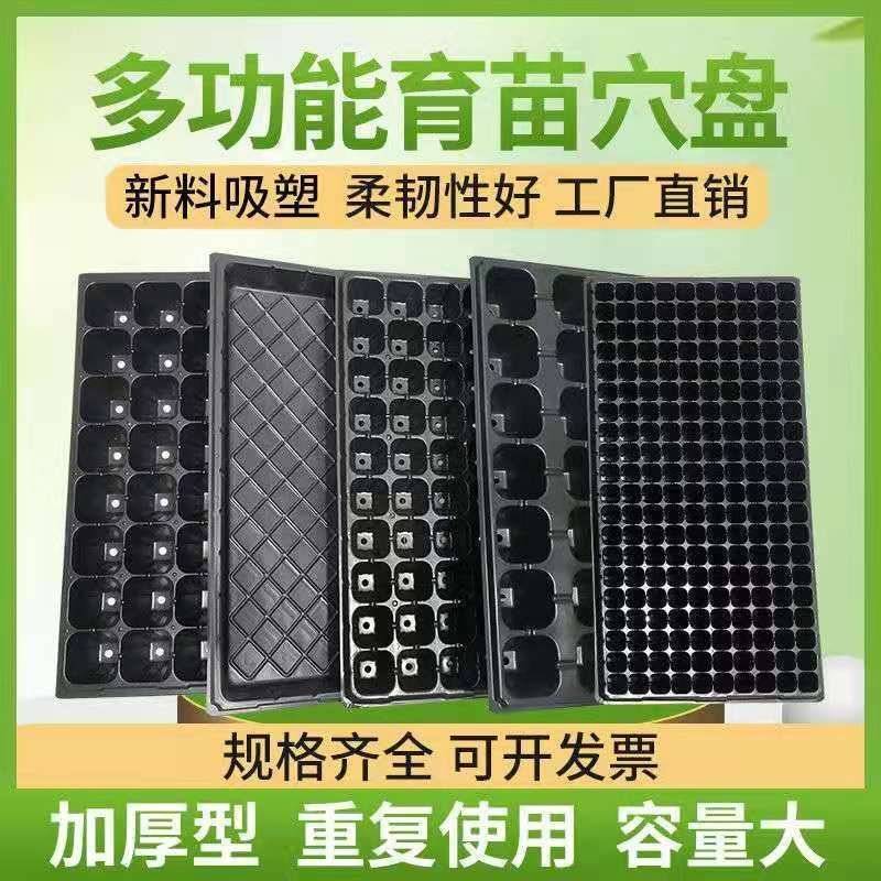 加厚育苗盘草莓专用穴盘多肉月季扦插盘蔬菜培育盘育苗营养杯