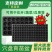 加厚育苗盘草莓专用穴盘多肉月季扦插盘蔬菜培育盘育苗营养杯
