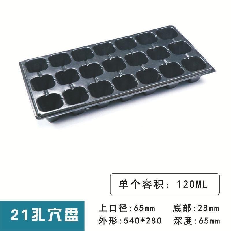 加厚育苗盘草莓专用穴盘多肉月季扦插盘蔬菜培育盘育苗营养杯