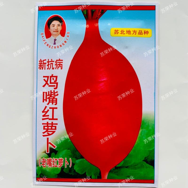 新抗病鸡嘴红萝卜种子大白萝卜水果红心青萝卜辣萝卜种籽农户