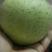 精品纸袋“王林”青苹果，河北狼牙山优质水果主产区