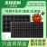 加厚育苗盘草莓专用穴盘多肉月季扦插盘蔬菜培育盘育苗营养杯