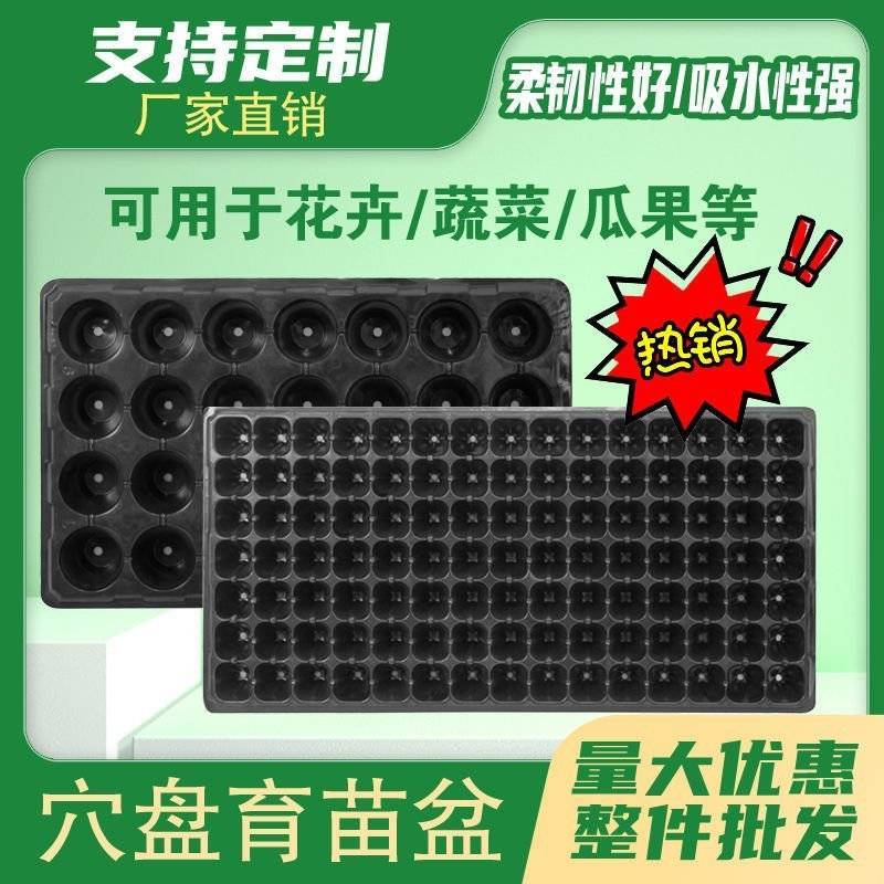 加厚育苗盘草莓专用穴盘多肉月季扦插盘蔬菜培育盘育苗营养杯