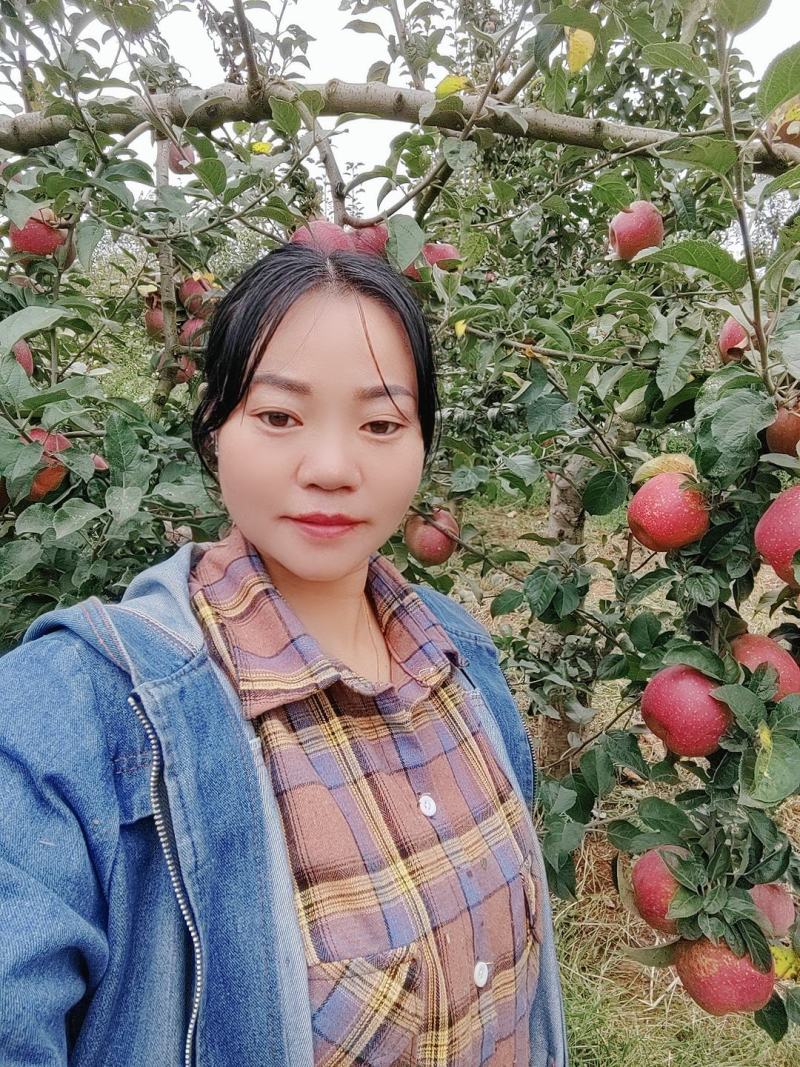 欢迎各位老板的光临。昭通市洒渔镇冰糖，丑苹果已大量上市。