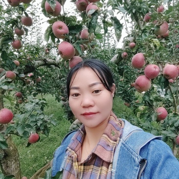 欢迎各位老板的光临。昭通市洒渔镇冰糖，丑苹果已大量上市。
