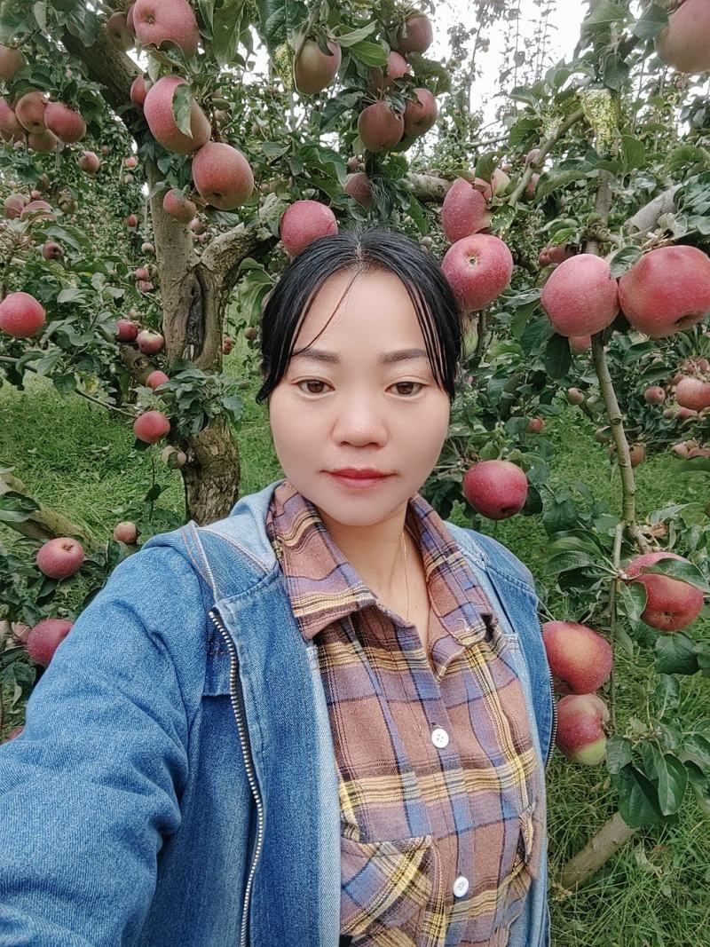 欢迎各位老板的光临。昭通市洒渔镇冰糖，丑苹果已大量上市。