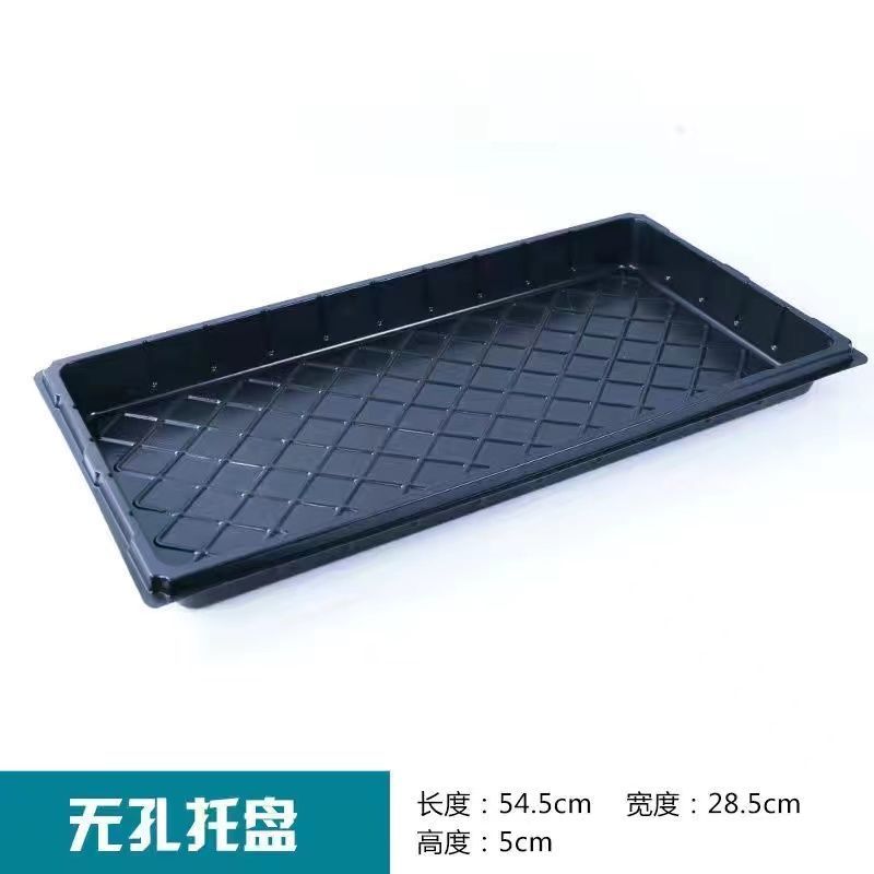 加厚育苗盘草莓专用穴盘多肉月季扦插盘蔬菜培育盘育苗营养杯