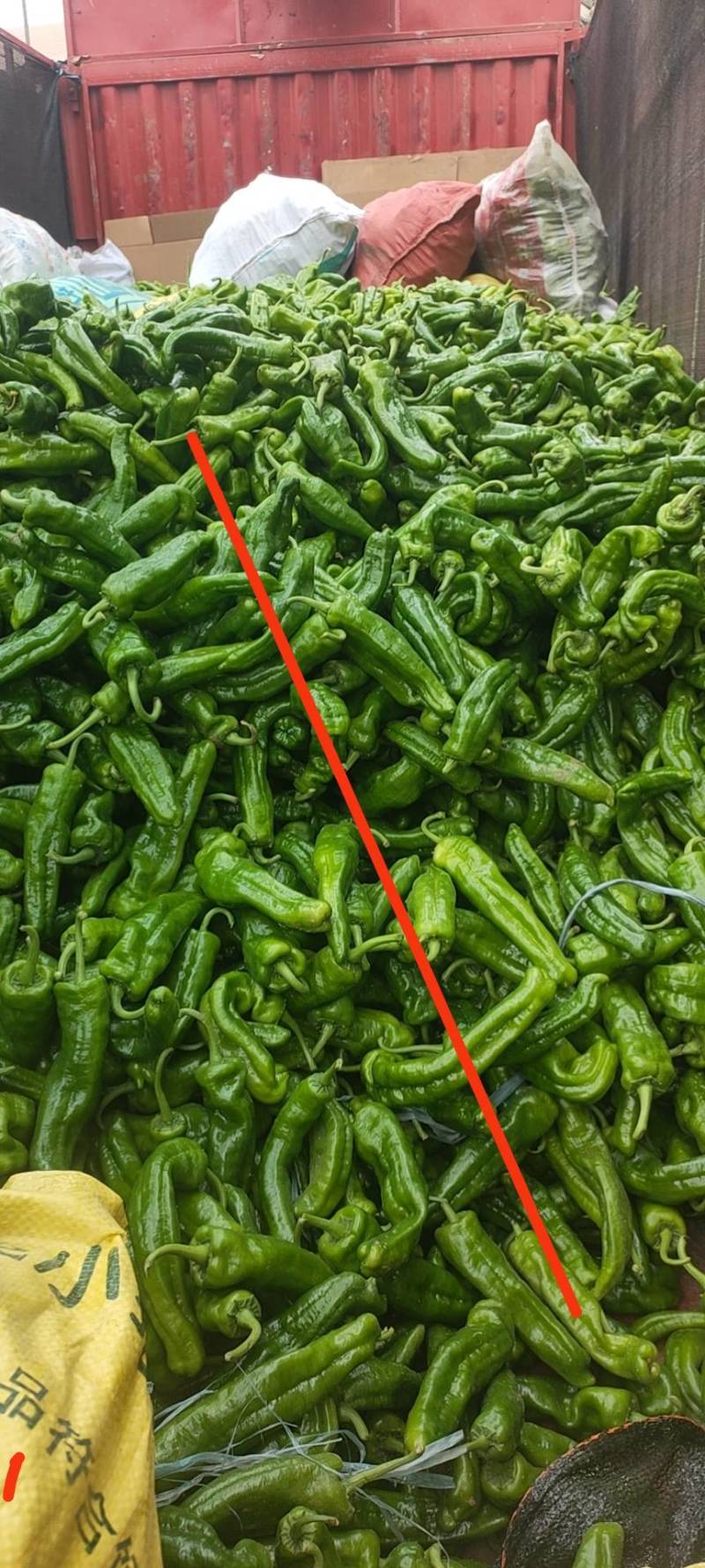 301芜湖辣椒上蔡龚垒辣椒代办，代收，，支持装箱，
