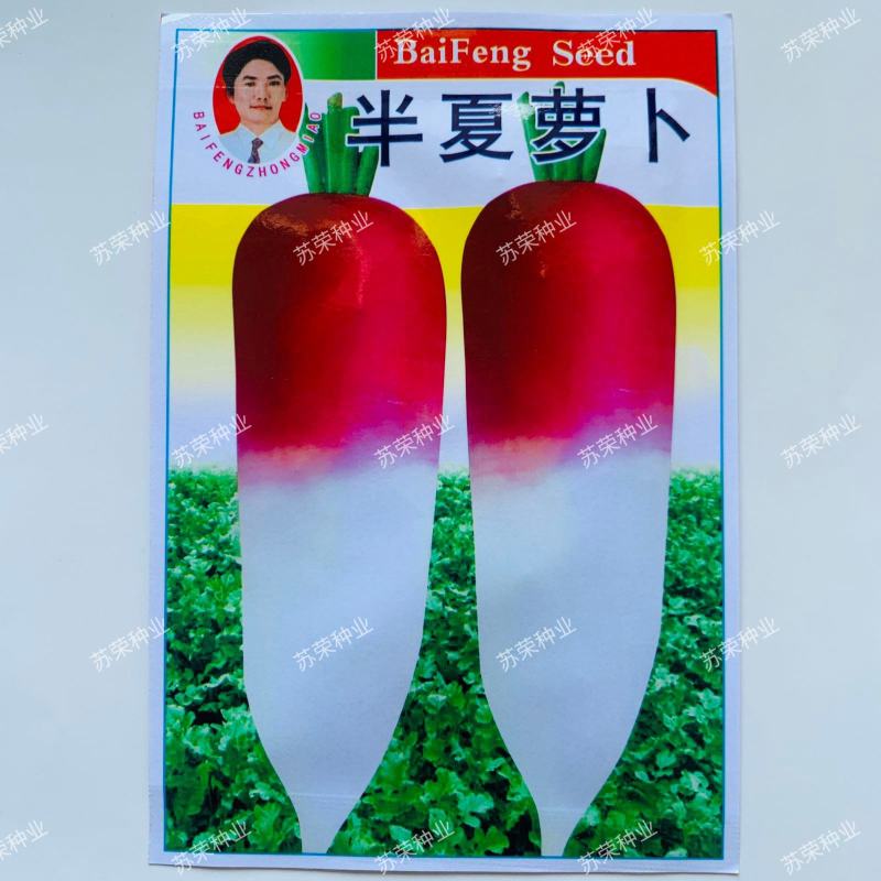 半夏萝卜种子农家菜园大田春夏秋四季种植果蔬籽非转基因