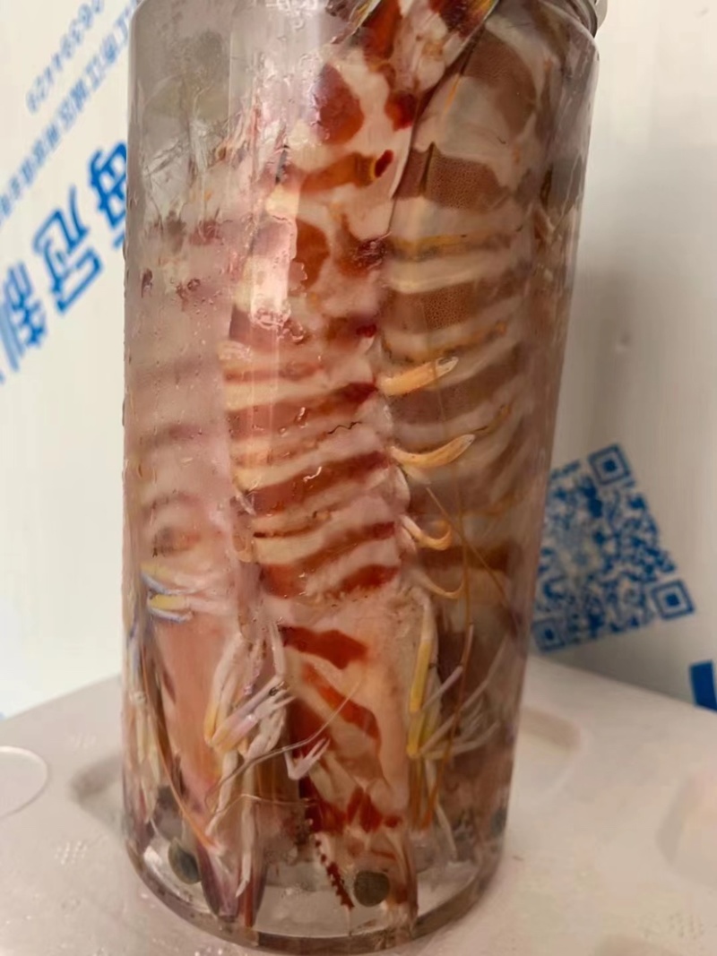 活斑节虾，红爪虾，虎虾，活冻不黑头不掉头，自家鱼船平卖