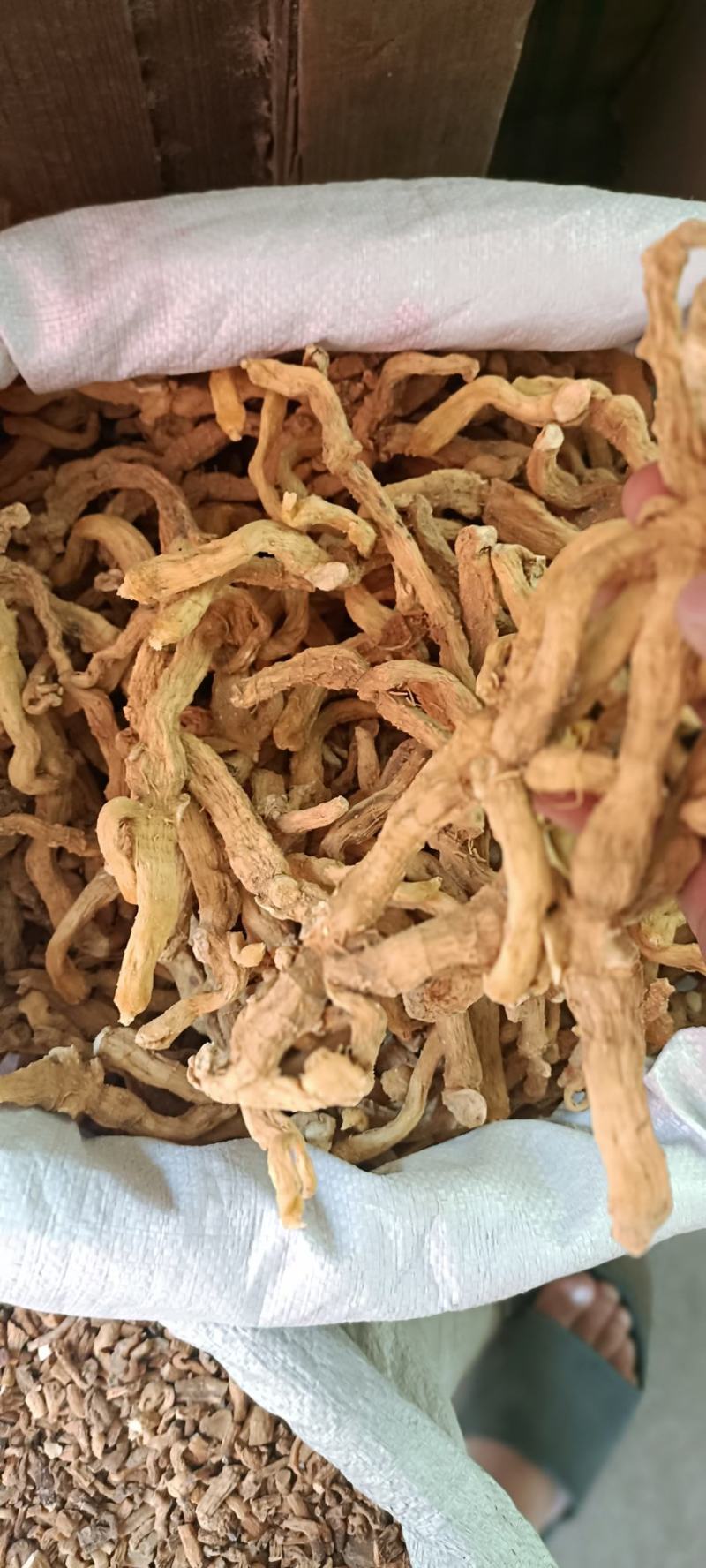 玉竹条，大条无硫新货，玉竹参，尾参