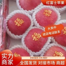 【热卖】富士苹果！山东优质红富士苹果，量大从欢迎咨询
