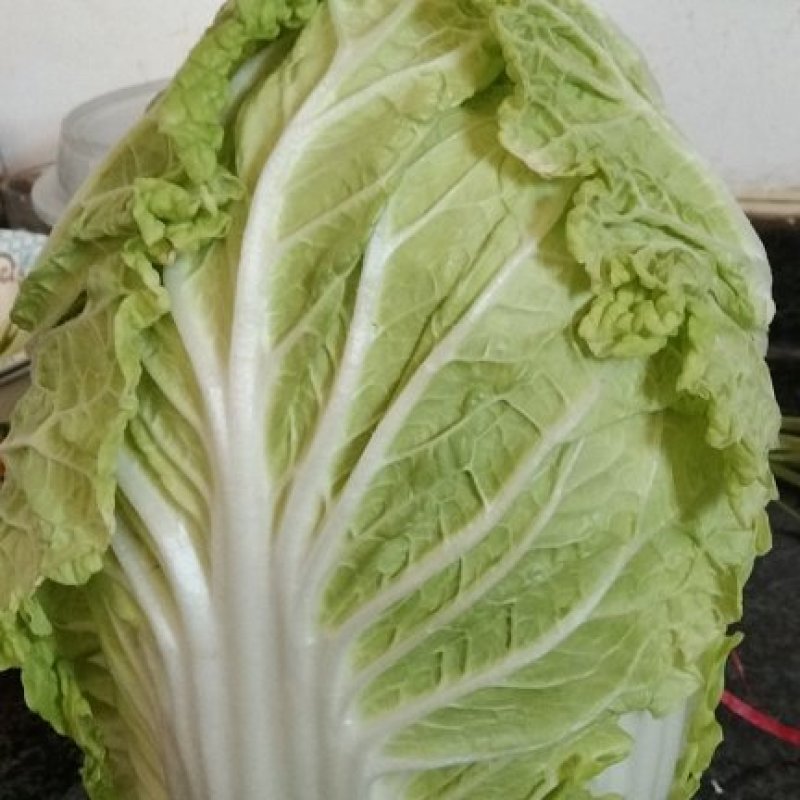 黄心大白菜，产地直发，货源充足！心足颗大，大量供货。