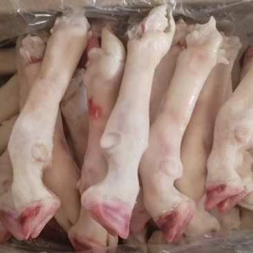内蒙古羊蹄【羊蹄】高原养殖品质保证，货源充足！