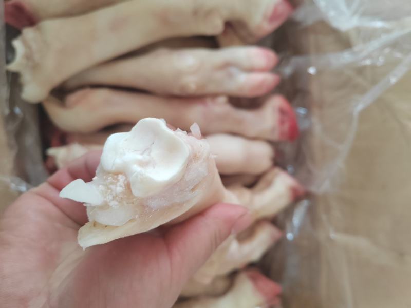 内蒙古羊蹄【羊蹄】高原养殖品质保证，货源充足！