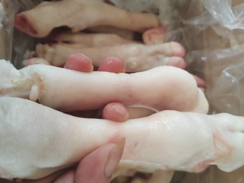 内蒙古羊蹄【羊蹄】高原养殖品质保证，货源充足！