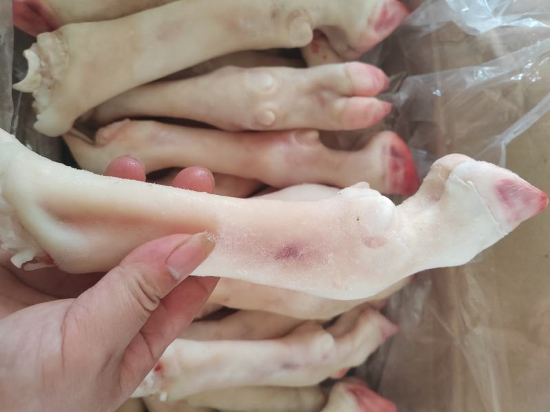 内蒙古羊蹄【羊蹄】高原养殖品质保证，货源充足！