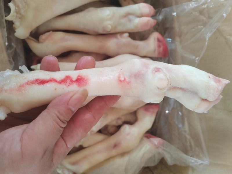 内蒙古羊蹄【羊蹄】高原养殖品质保证，货源充足！