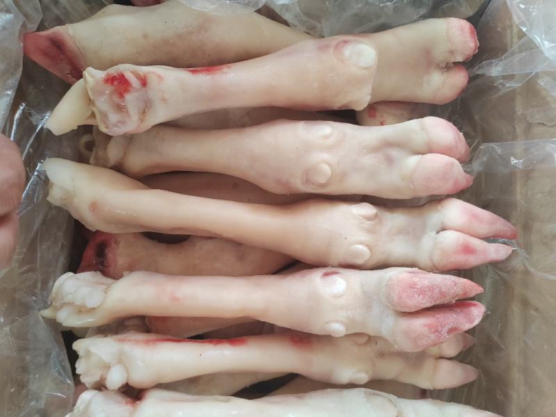 内蒙古羊蹄【羊蹄】高原养殖品质保证，货源充足！