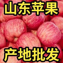 推荐【红富士苹果】条纹果全红果产地批发市场商超食堂配送