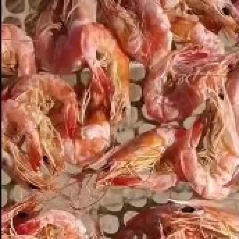 烘干虾，