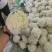 中牟县精品花菜，包菜，萝卜大量上市中，需要联系