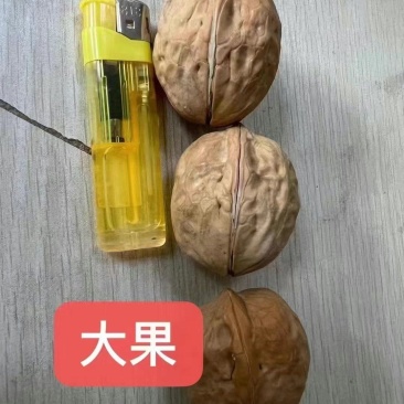 新疆纸皮核桃中果大果仓库大量现货供应地摊货源