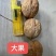 新疆纸皮核桃中果大果仓库大量现货供应地摊货源
