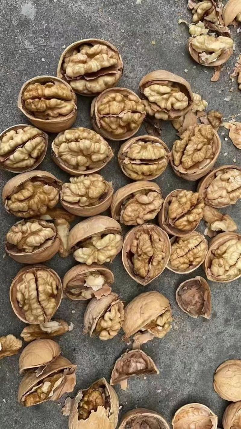 新疆纸皮核桃中果大果仓库大量现货供应地摊货源