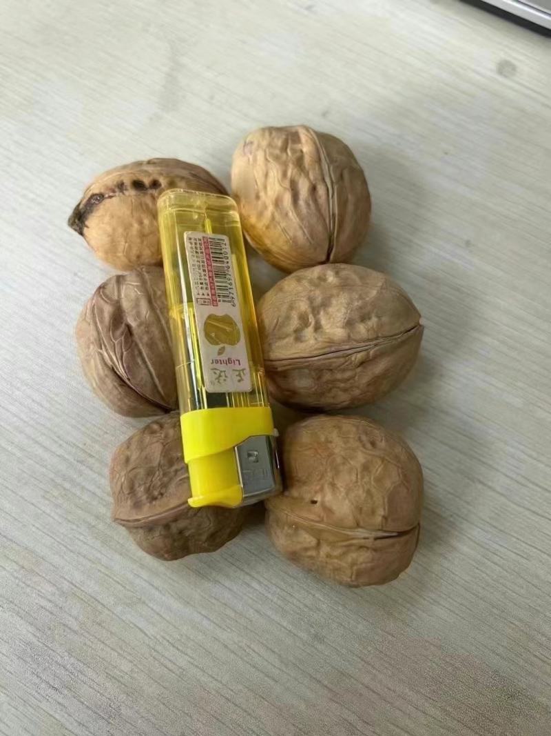 新疆纸皮核桃中果大果仓库大量现货供应地摊货源