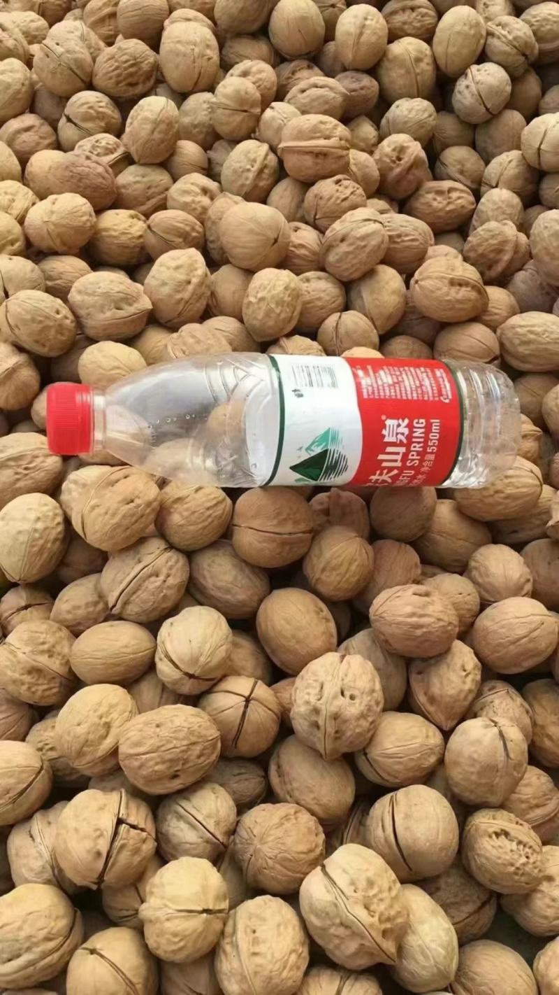 新疆纸皮核桃中果大果仓库大量现货供应地摊货源