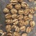 新疆纸皮核桃中果大果仓库大量现货供应地摊货源