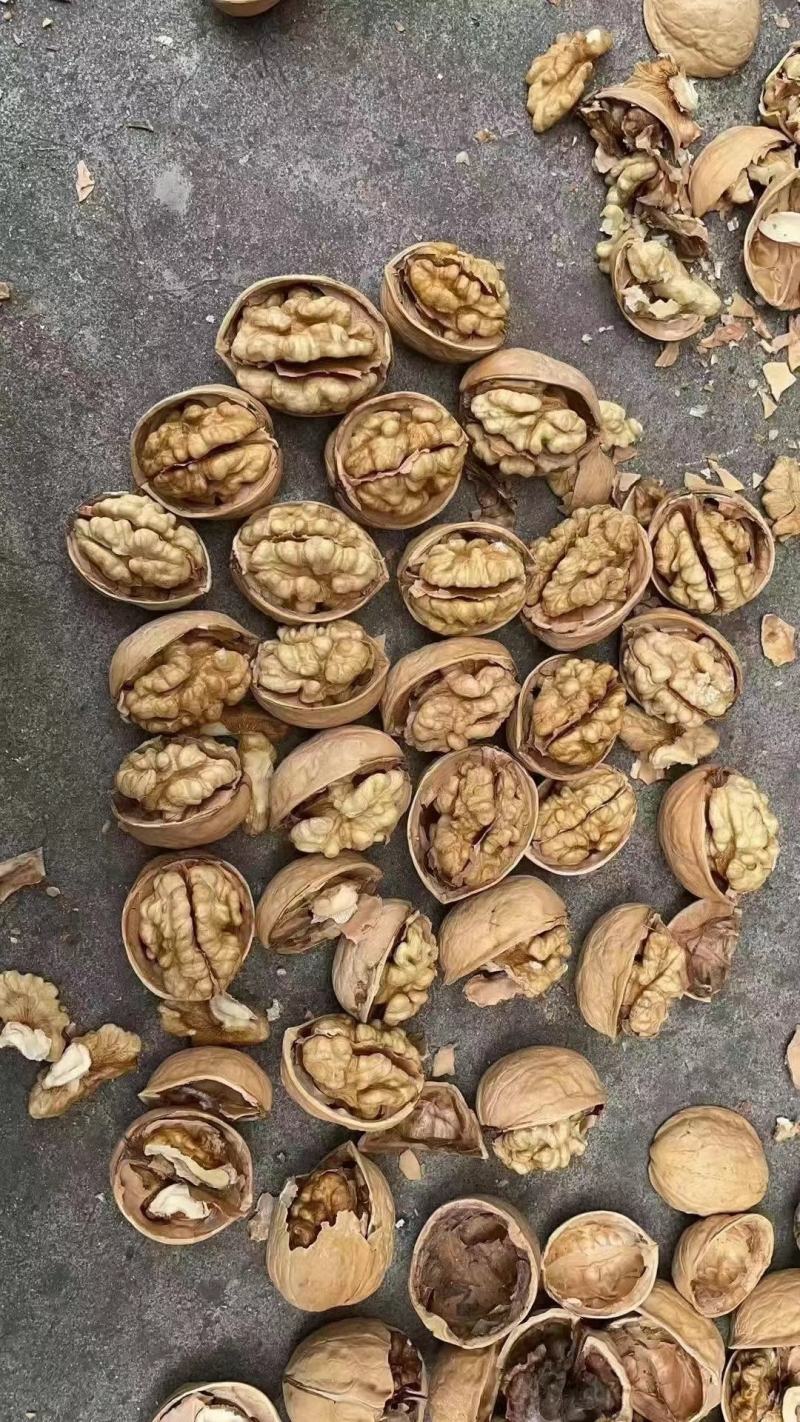 新疆纸皮核桃中果大果仓库大量现货供应地摊货源