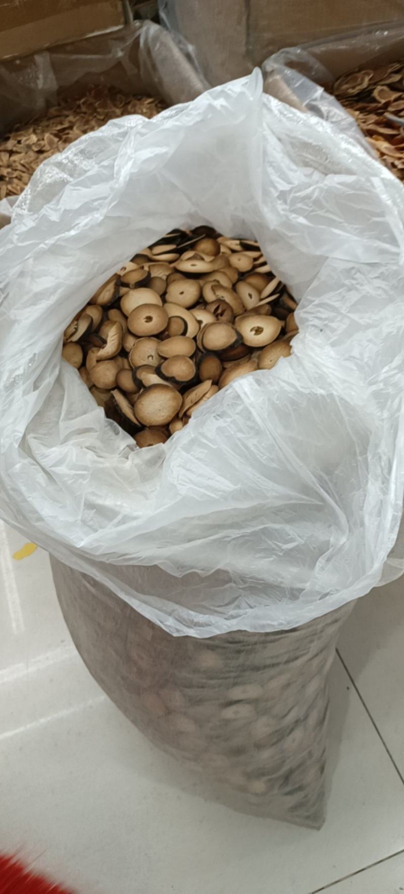 正宗化州橘红蒙石山橘红足干味道香陈橘红片大片