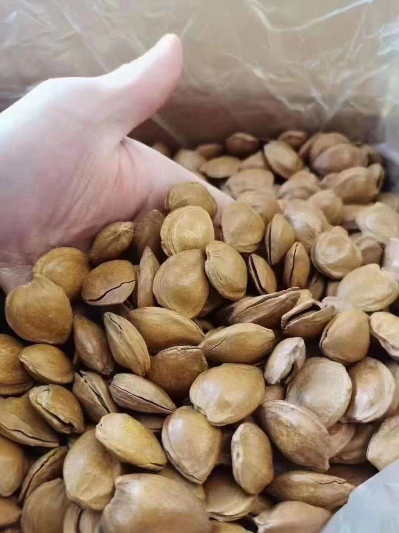 每日坚果干果炒货网红休闲零食散装夏威夷果巴旦木腰果批发