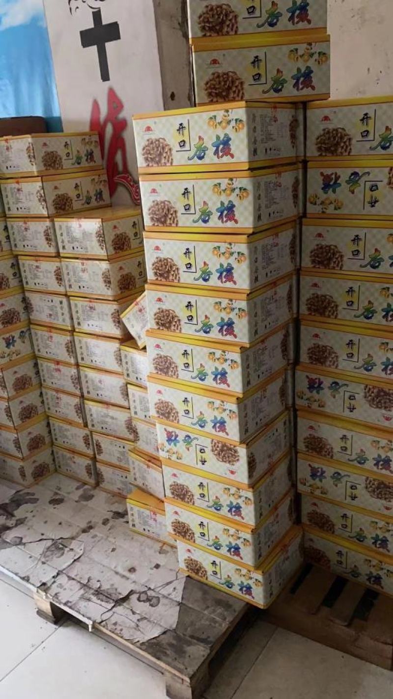 每日坚果干果炒货网红休闲零食散装夏威夷果巴旦木腰果批发