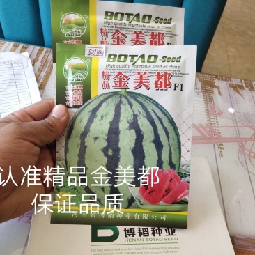 金美都西瓜种子抗病抗裂大红瓤耐重茬囗感酥脆易坐果6千公斤