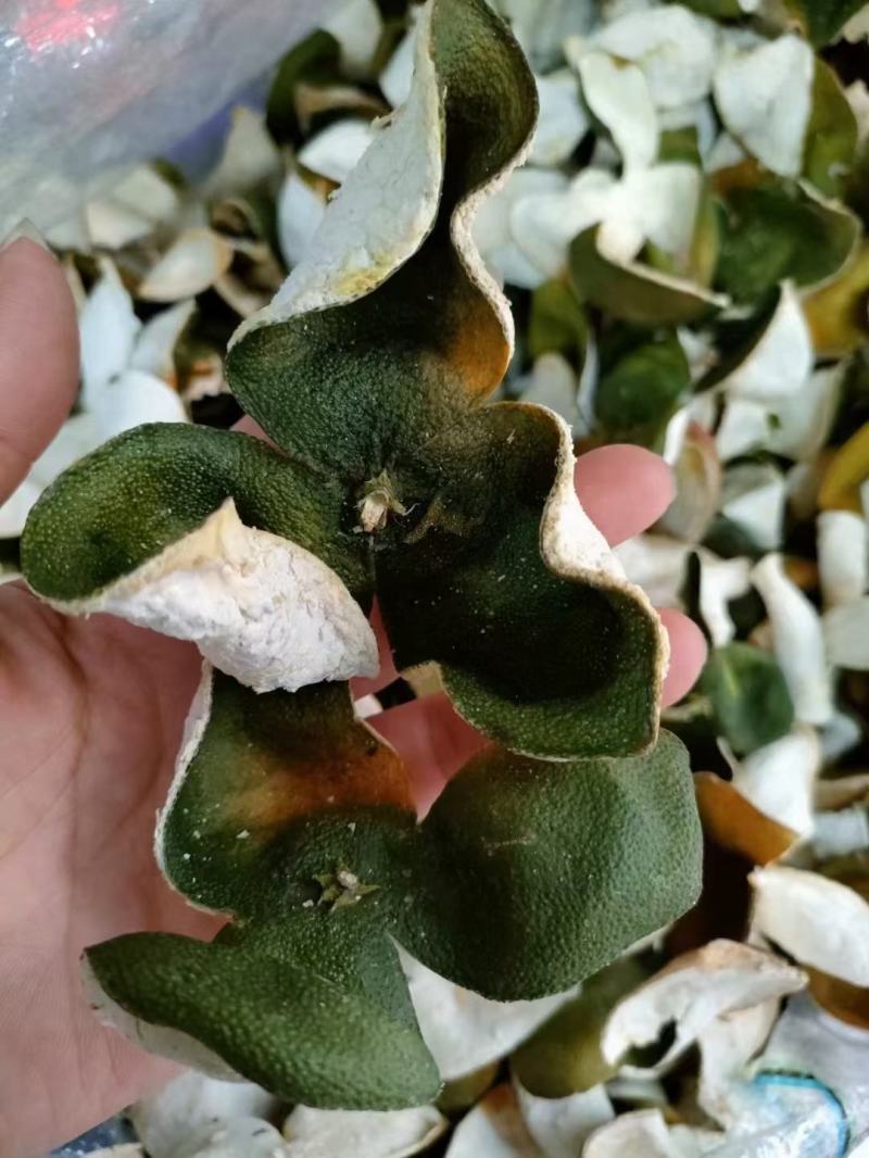 自家果园新货花青皮出售价格优惠，药厂，陈皮原料深加工可用