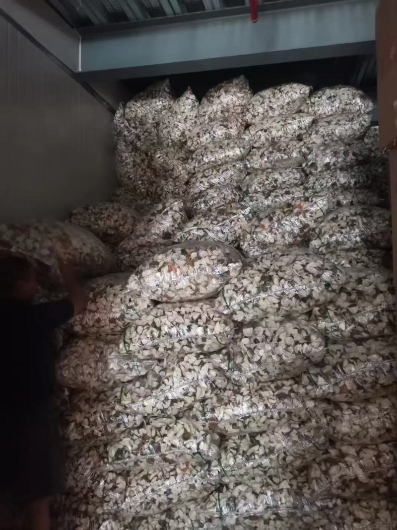 自家果园新货花青皮出售价格优惠，药厂，陈皮原料深加工可用