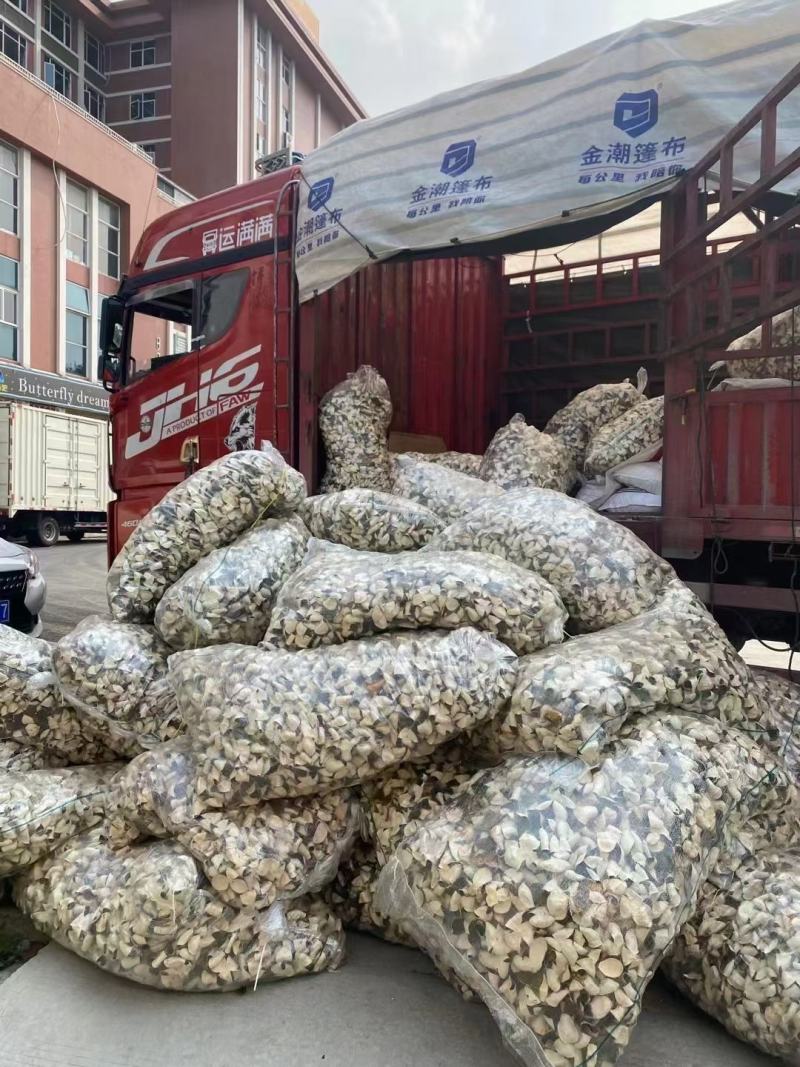 自家果园新货花青皮出售价格优惠，药厂，陈皮原料深加工可用