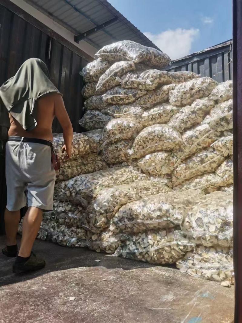 自家果园新货花青皮出售价格优惠，药厂，陈皮原料深加工可用