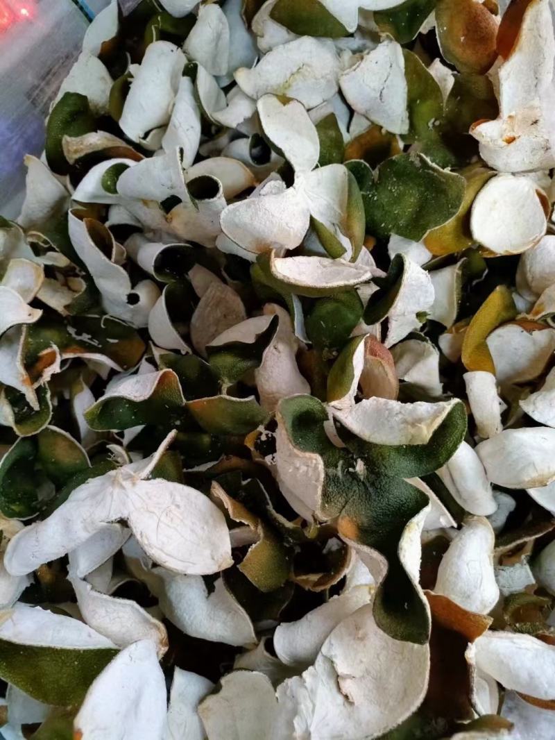 自家果园新货花青皮出售价格优惠，药厂，陈皮原料深加工可用