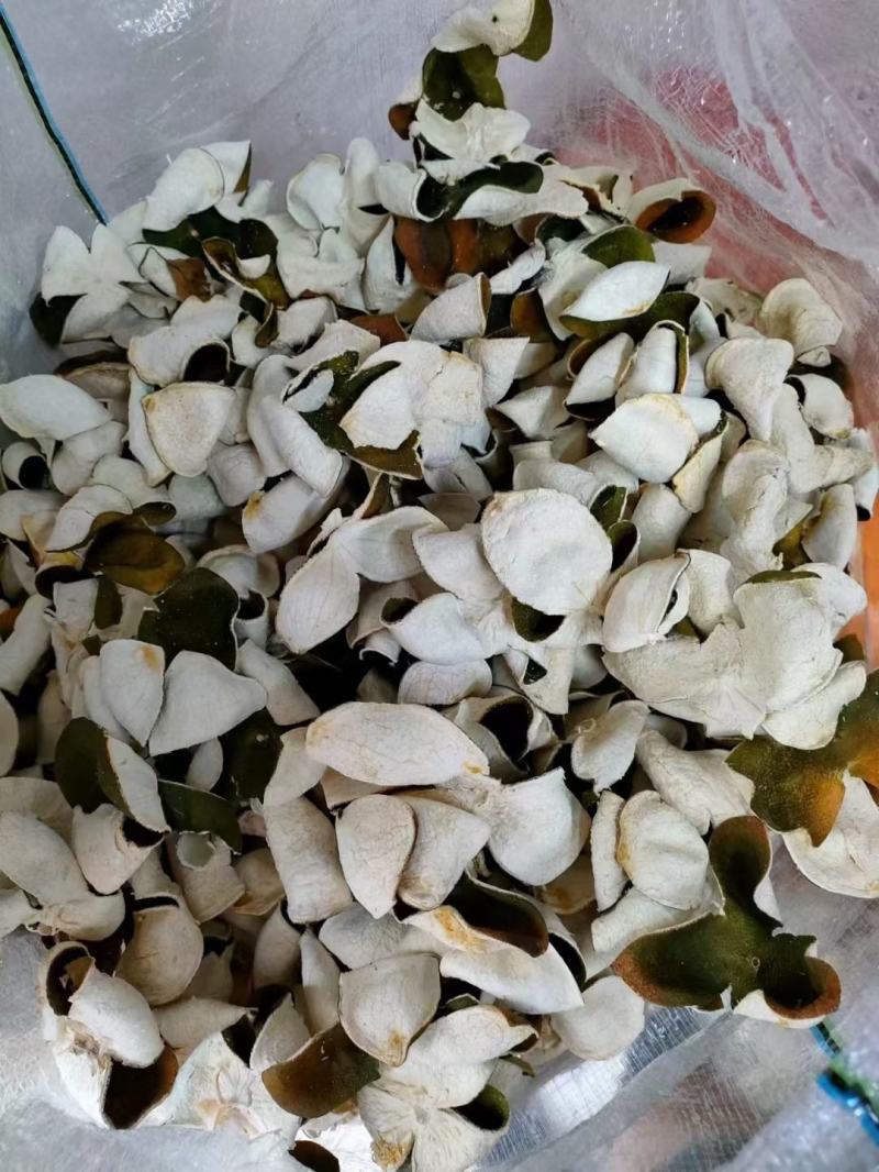 自家果园新货花青皮出售价格优惠，药厂，陈皮原料深加工可用